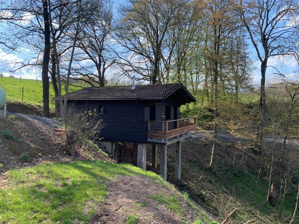 Gites Douillets : Chalet Sur Pilotis Houyet Bagian luar foto